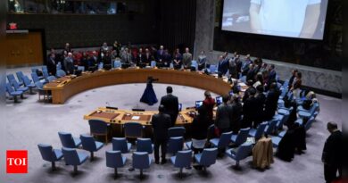 Global watchdog urges UN Security Council to consider all options to protect Darfur civilians - Times of India