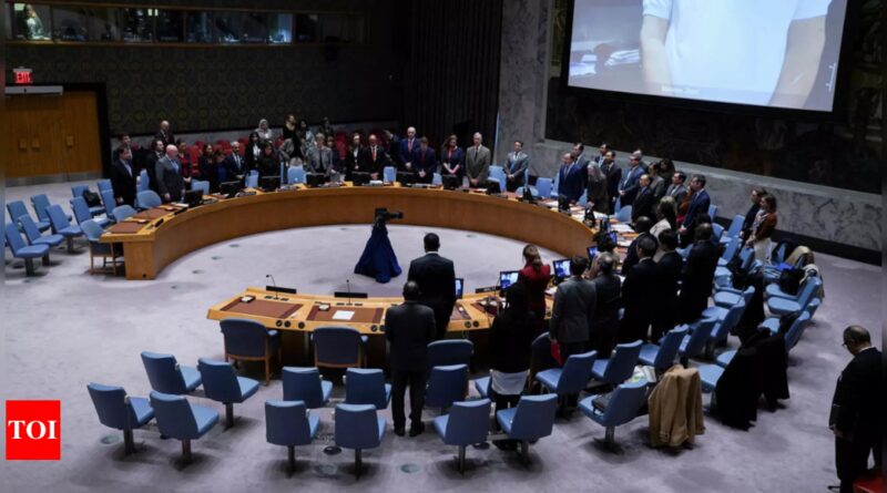 Global watchdog urges UN Security Council to consider all options to protect Darfur civilians - Times of India