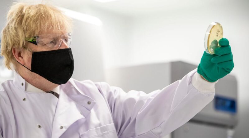 Boris Johnson asked scientists if COVID could be killed by hairdryer up nose, ex-aide claims