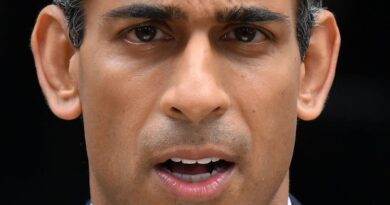 Rishi Sunak declares victory as fall in UK inflation rate meets his pledge