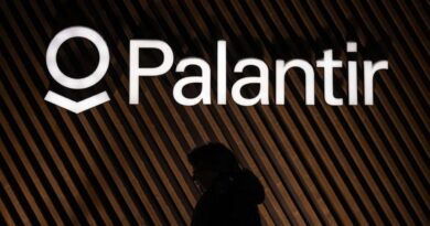 Palantir bid wins £330m British health service contract