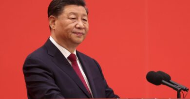 Xi Jinping seeks Germany’s help to avert China-EU trade war