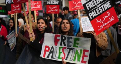 UK’s Suella Braverman slams policing of pro-Palestinian rallies