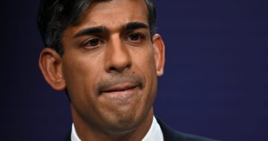 Rishi Sunak performs delicate balancing act in Big Tech lobbying battle