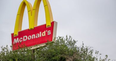 Mice with that? Man arrested after rodents released into McDonald’s in pro-Palestinian protest