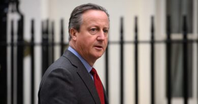 David Cameron downplayed Chinese role in controversial $1.4B port project