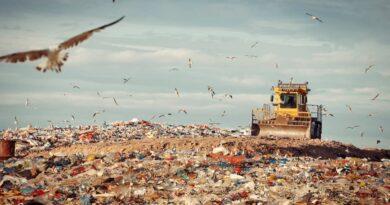 Proposed mandatory reuse rules jeopardizing world’s best recycling system